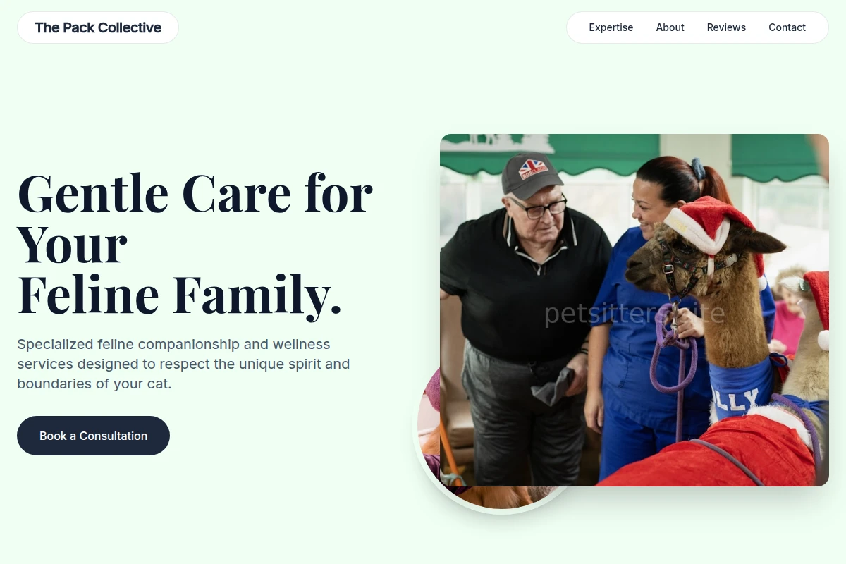 Feline Animal Care