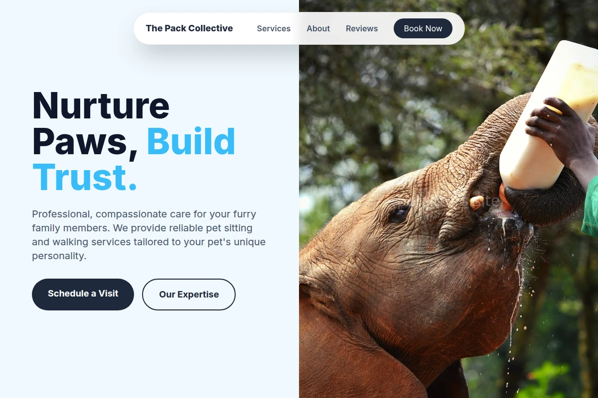 Snouts Animal Care