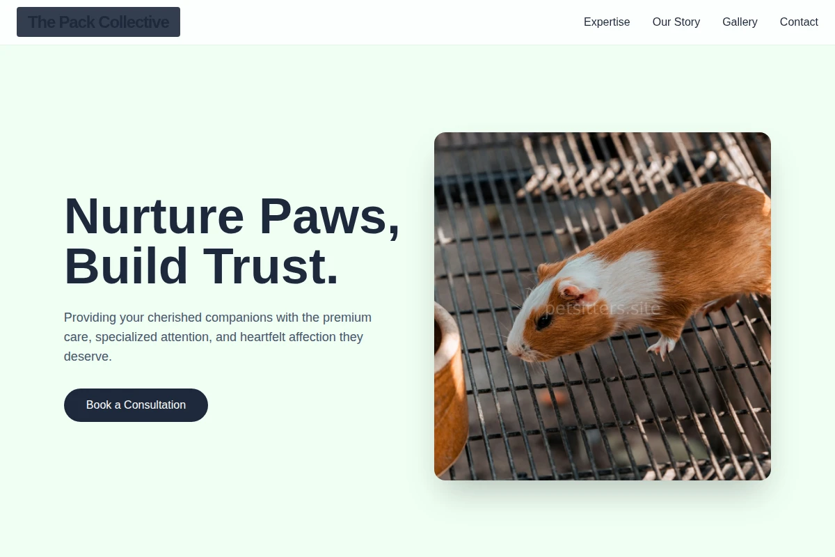 Leashes Animal Care