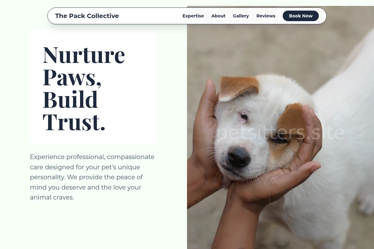 Collars Animal Care
