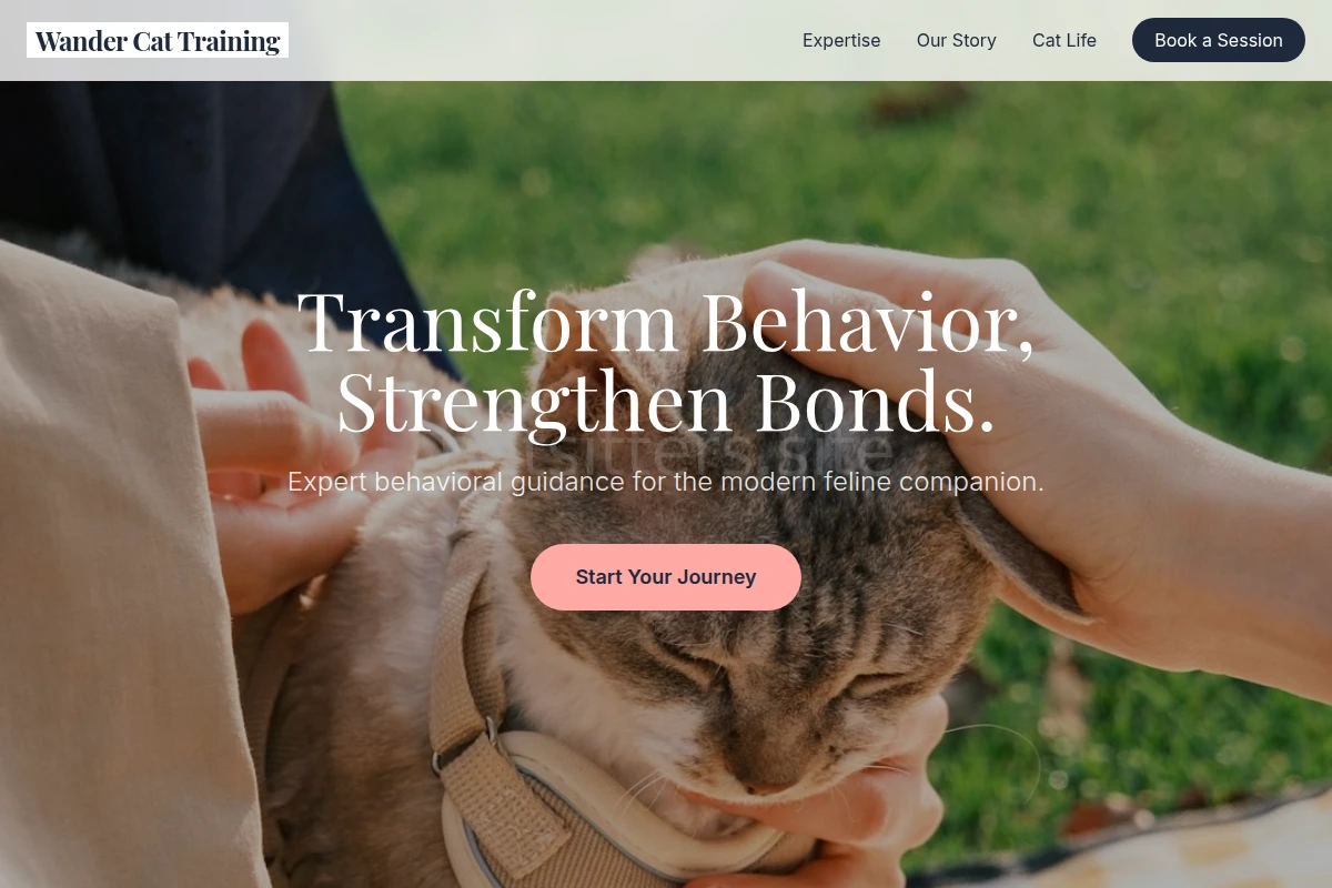 Wander Cat Training