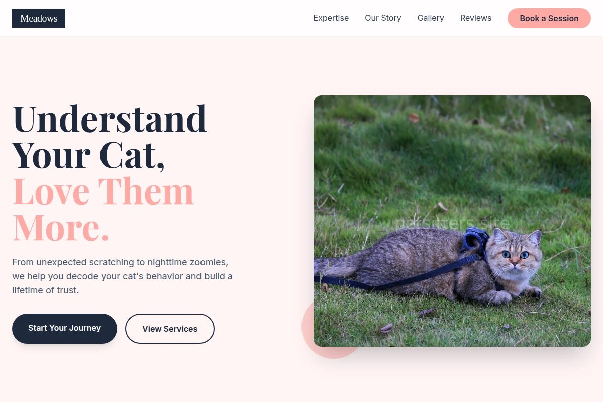 Meadows Cat Training