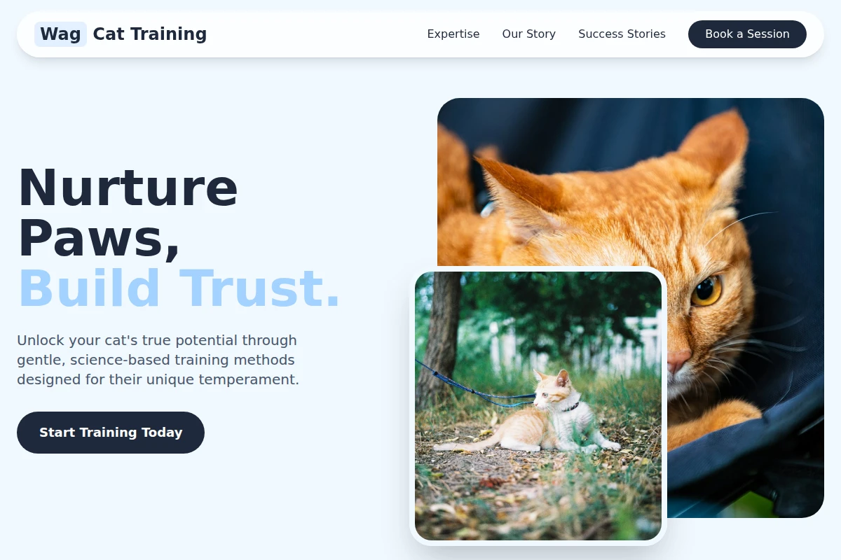 Wag Cat Training