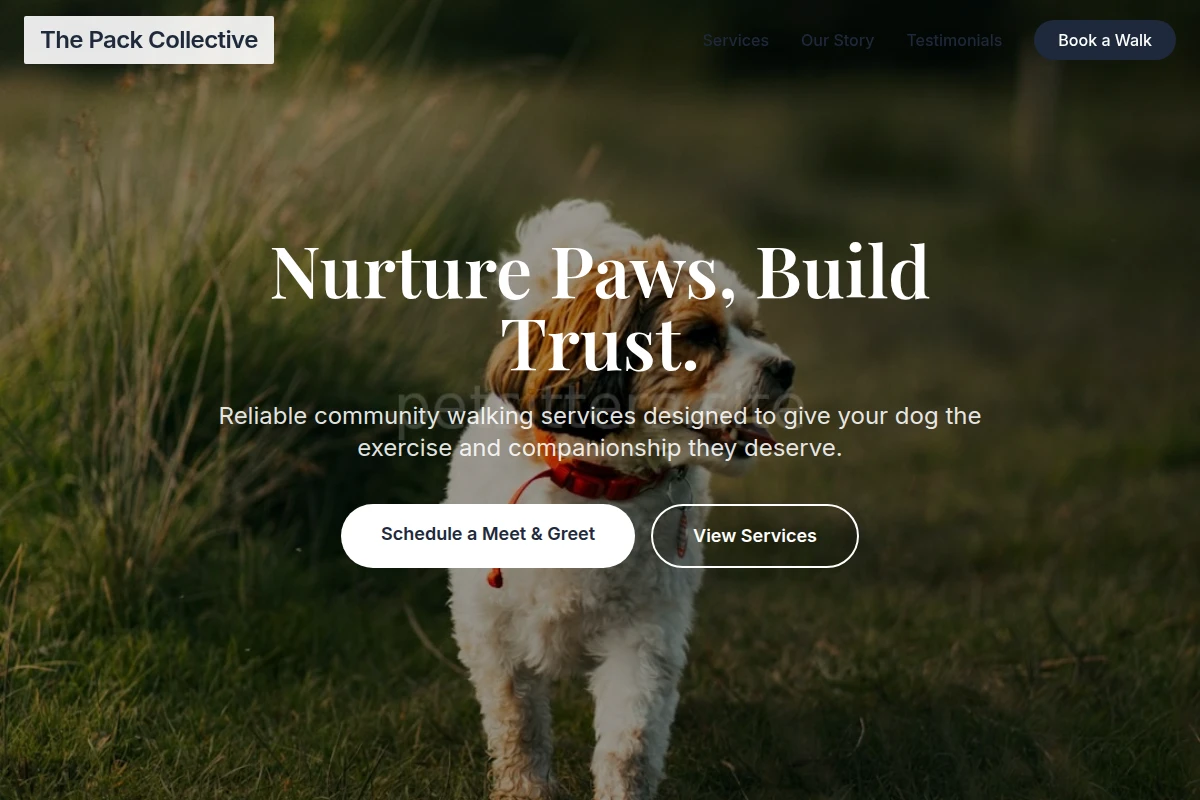 Community Dog Walking