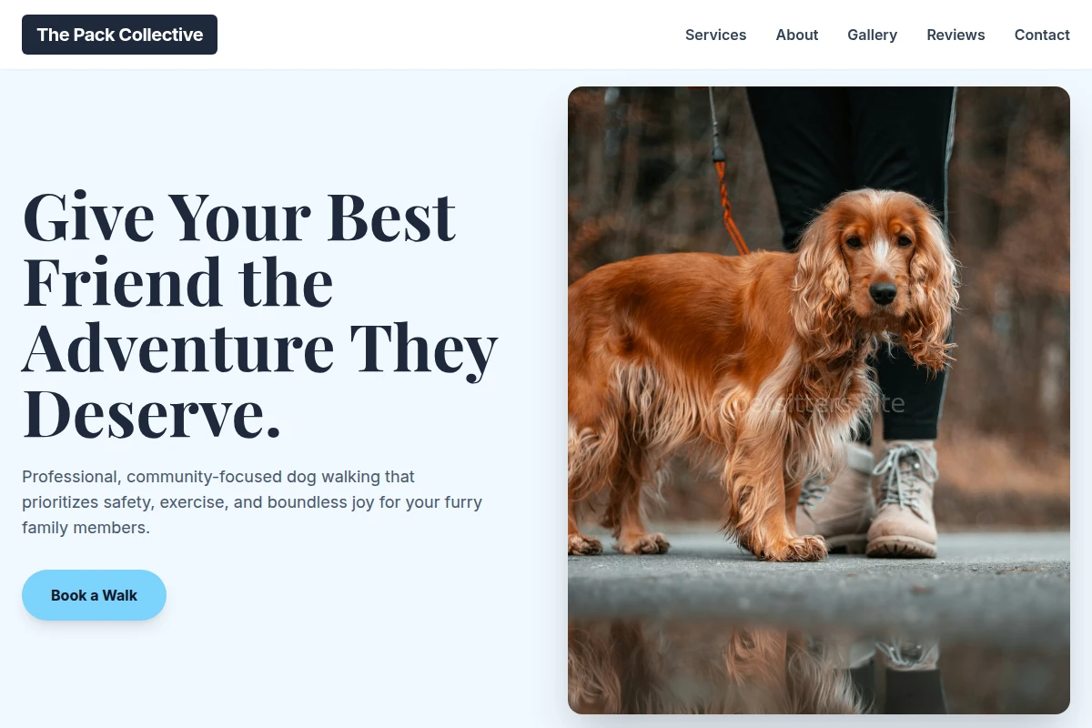 Community Dog Walking
