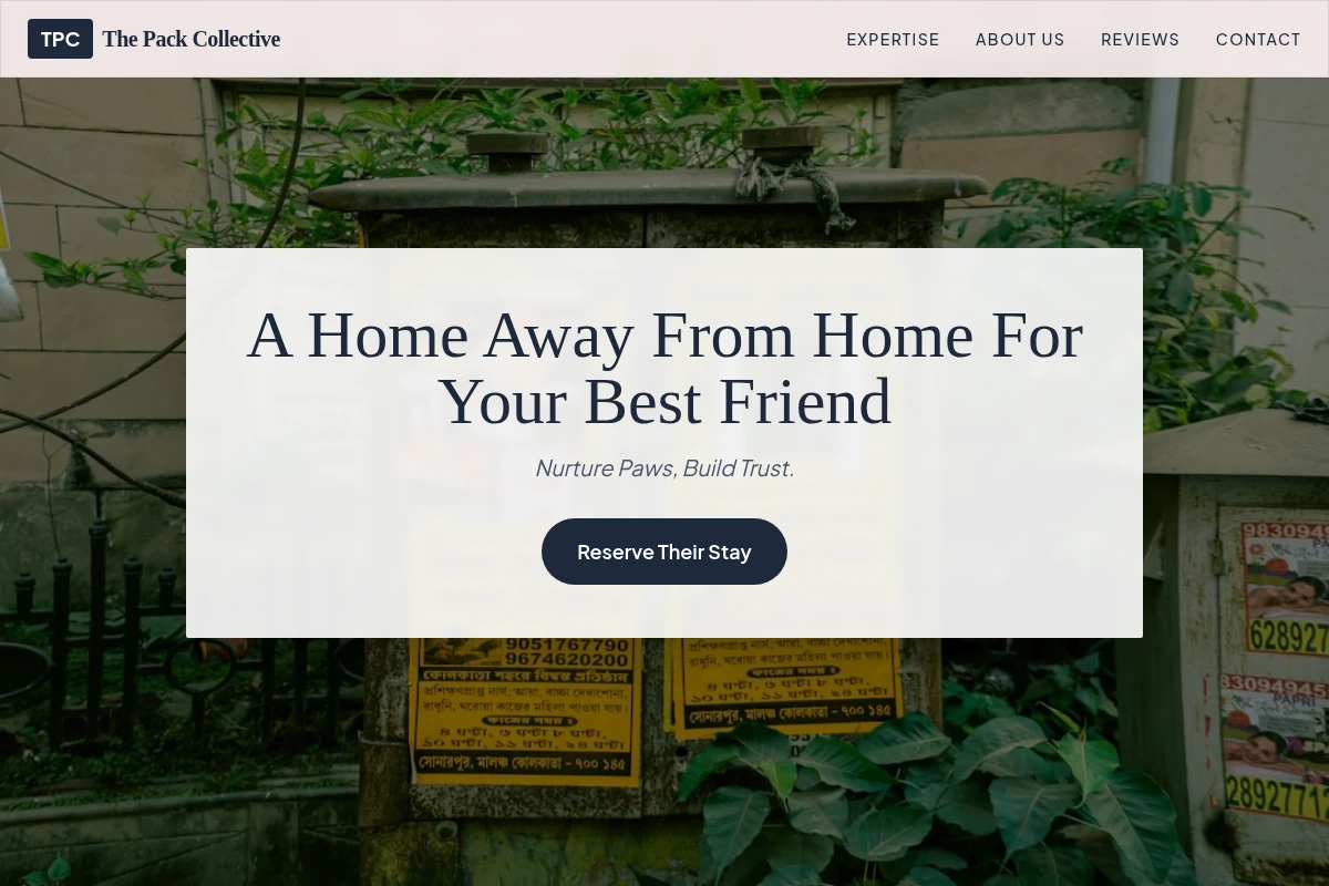 Soft Pet Boarding