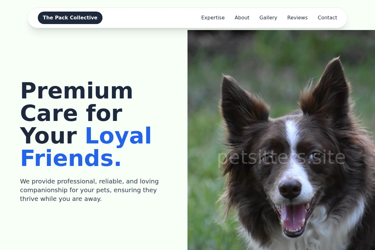 Paws Pet Services